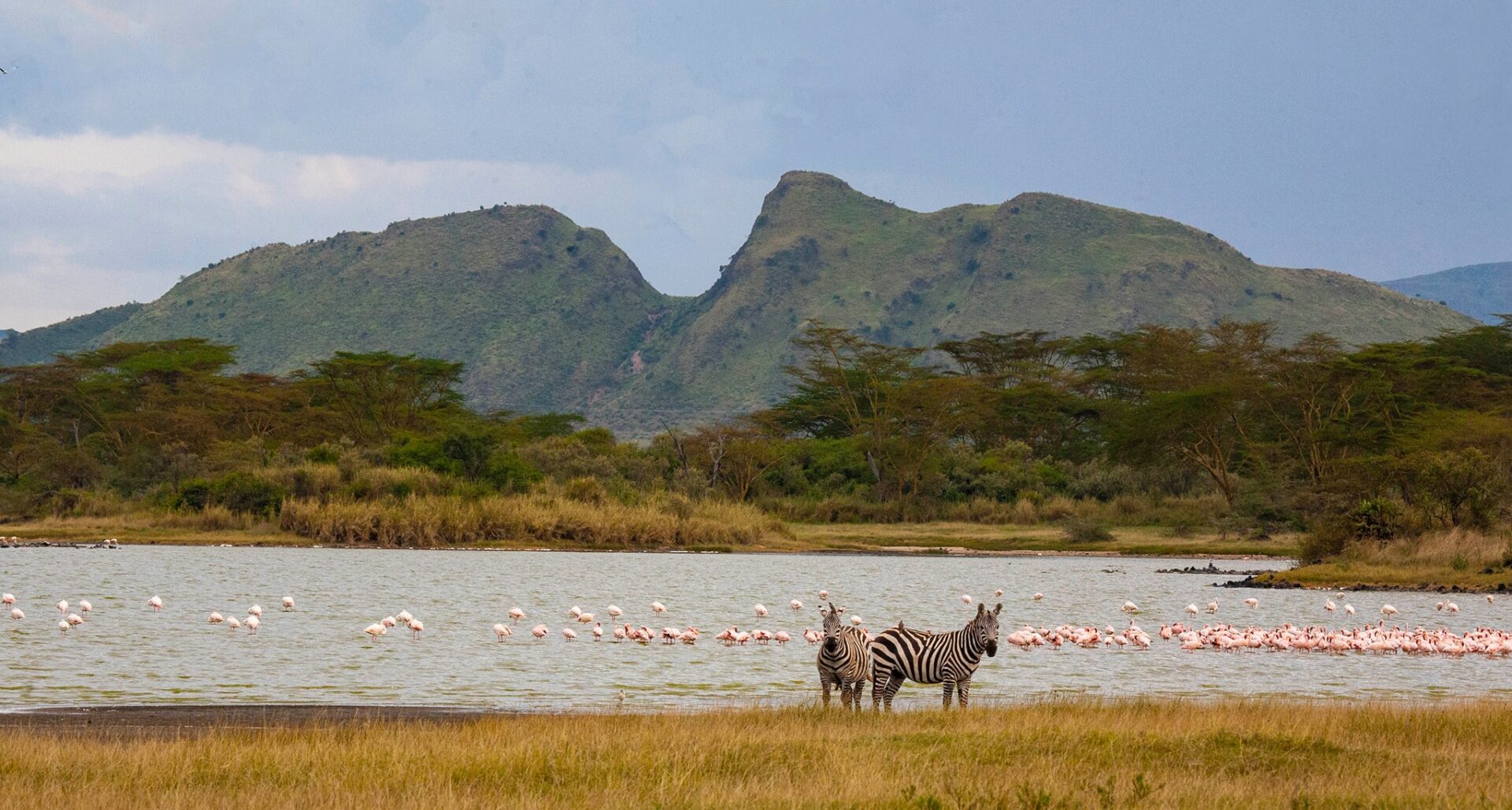 Exploring Soysambu Conservancy: A Conservation Jewel Near Naipanoi Resort in Naivasha